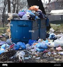 Reliable Neuse Forest, NC Junk Removal Solutions